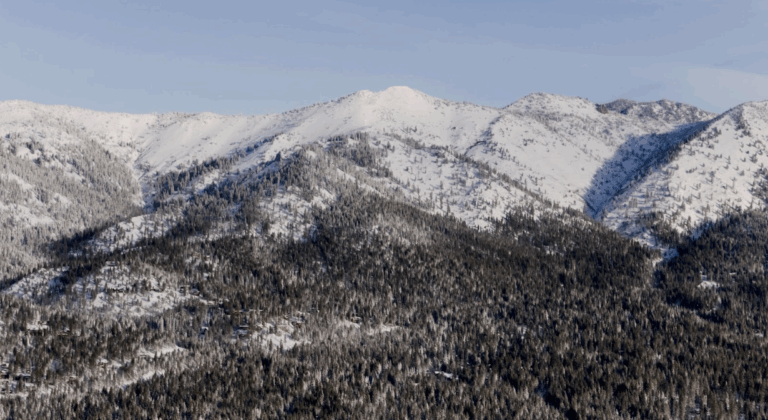 now-covered mountains and pine forest near Lake Tahoe in winte